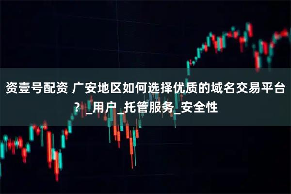 资壹号配资 广安地区如何选择优质的域名交易平台？_用户_托管服务_安全性