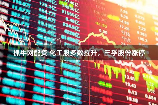 抓牛网配资 化工股多数拉升，三孚股份涨停